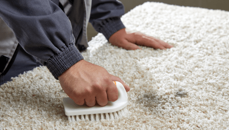 Professional Rug Cleaning Nangana